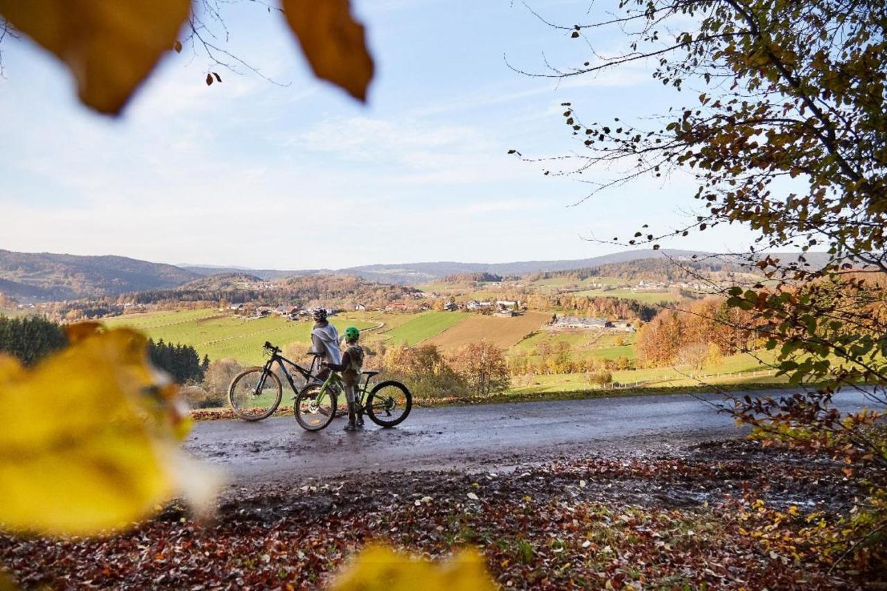 Ferienwohnungen Wald Und Wiese Waldkirchen Zewnętrze zdjęcie
